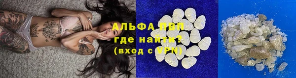мяу мяу мука Абаза