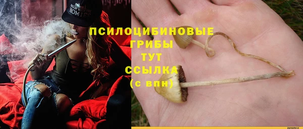 а пвп мука Абдулино
