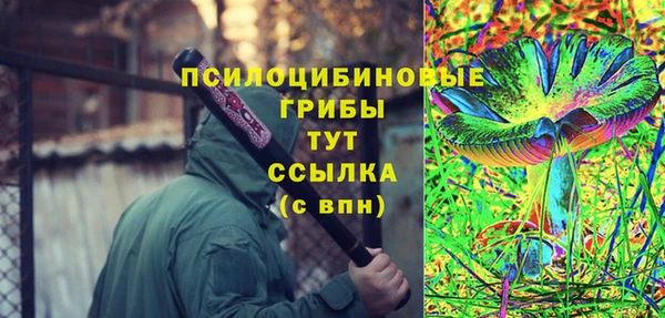 мяу мяу мука Абаза