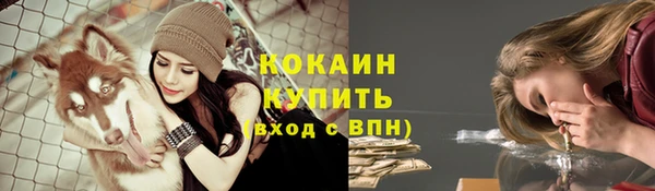 ALPHA PVP Алексеевка