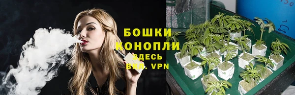 стафф Володарск