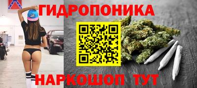 альфа пвп Владивосток