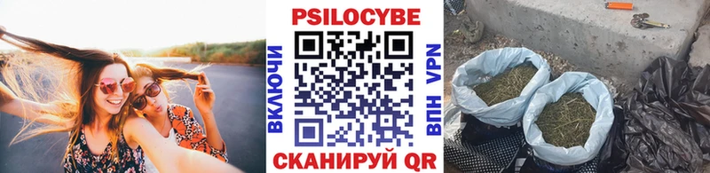 Псилоцибиновые грибы Psilocybine cubensis  купить закладку  Батайск 